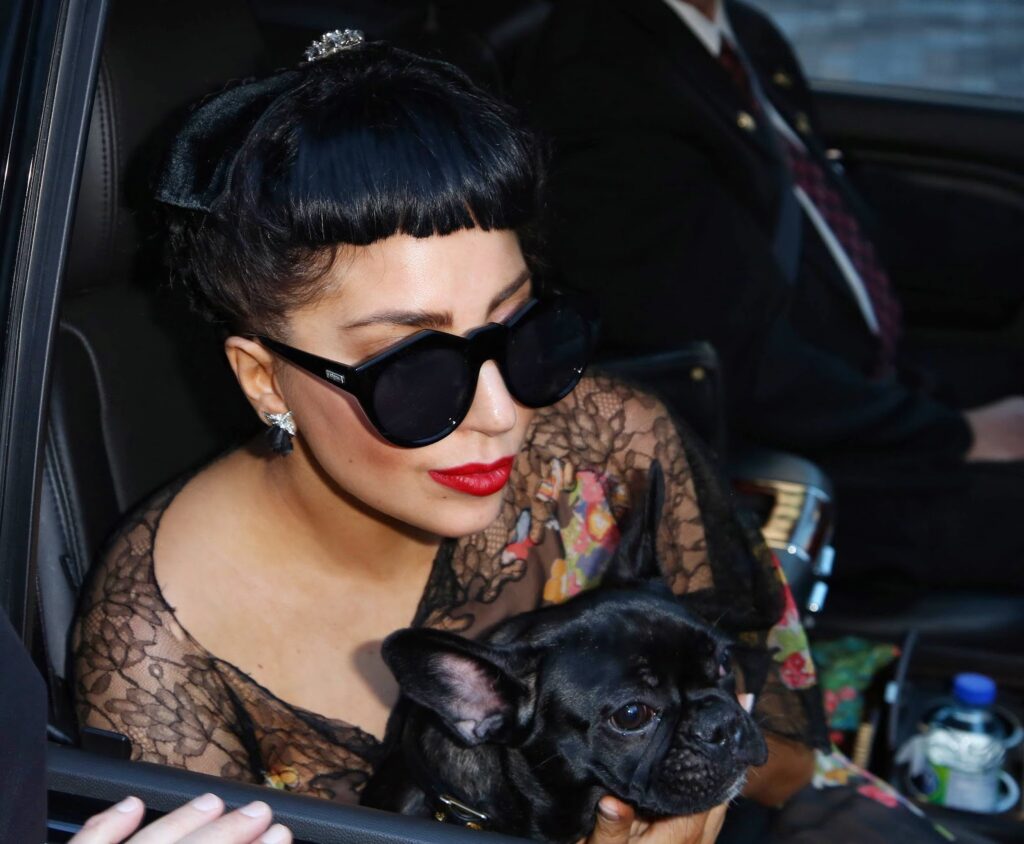 Lady Gaga Inspired Sunglasses – Fashion & Lifestyle Magazine