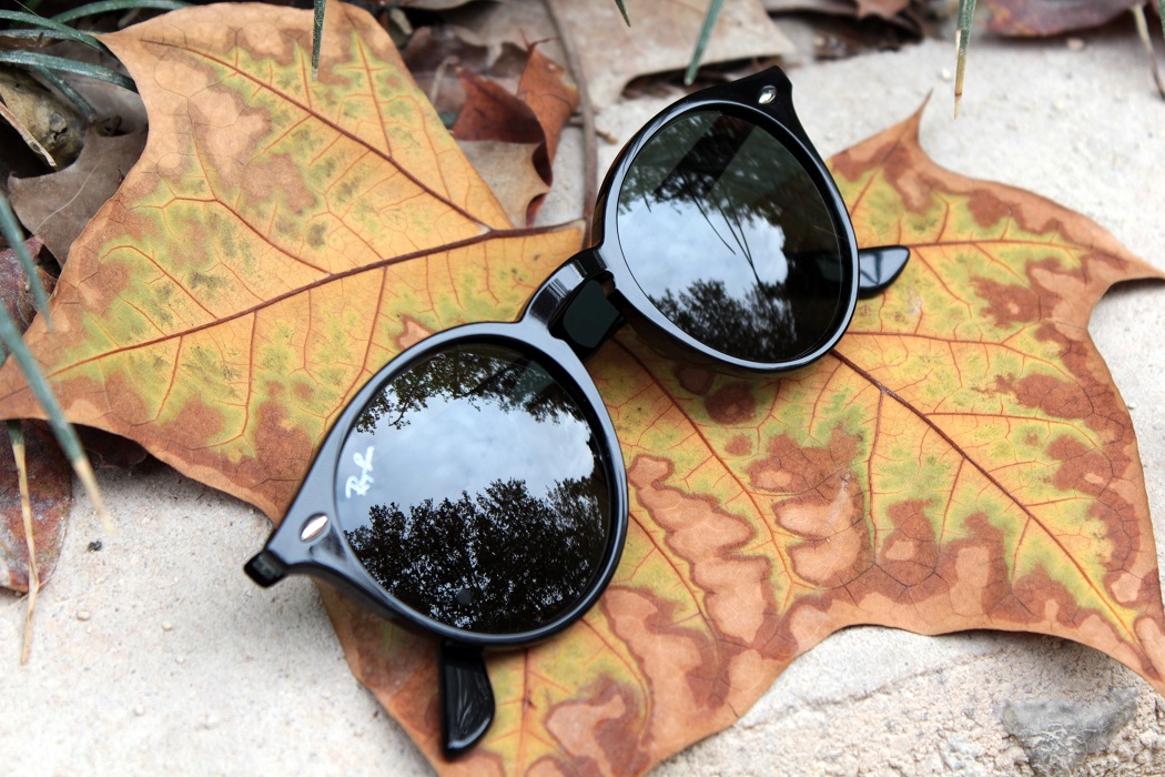 best ray ban sunglasses autumn