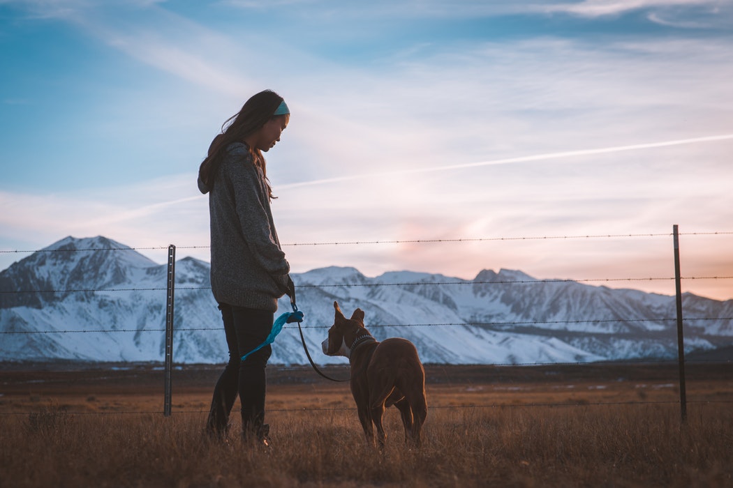 Dog Walking Best Dressed